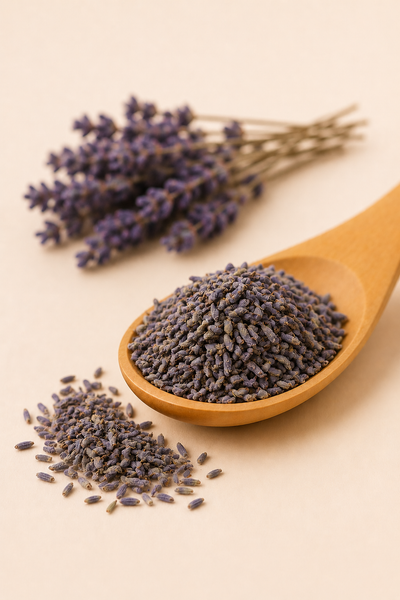 Lavanda